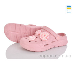 Кроксы Golden Lion